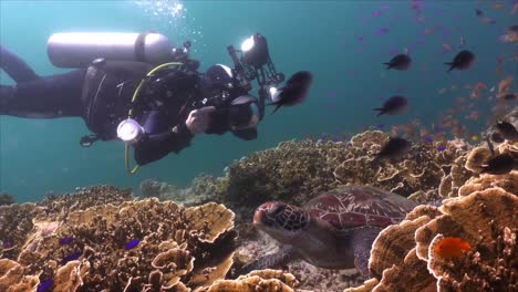 Underwater-photographer-taking-pictures-of-green-turtle-on-tropical-coral-reef