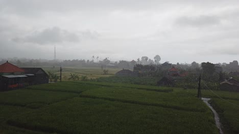 Regnerische-Reisfeldsaison-Südostasien-Nasses-Grünes-Reisfeld-Bali-Indonesien-Düster-Bewölkter-Himmel