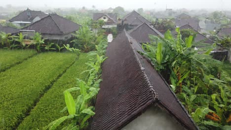 Rain-Drops-Over-Window-Glass-Ricefield-Forest-Houses-Green-Banana-Tree-Bali-Wet-Season-South-East-Asia