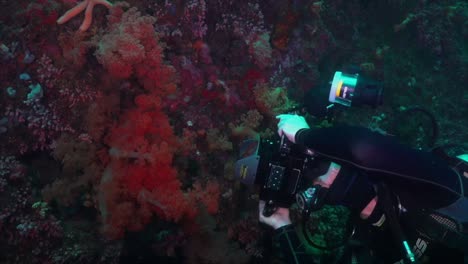Underwater-photographer-is-taking-pictures-of-soft-corals-on-deep-coral-wall