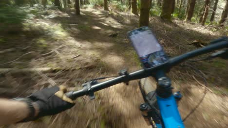 Pacific-northwest-mountain-biking-in-dense-forest-single-tracks-and-flowing-loam-and-bumpy-trails