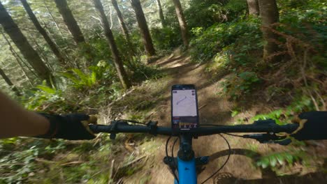 Large-banking-corners-on-beautiful-loam-cover-under-canopy-forest-trails-for-mountain-biking-in-the-pacific-northwest