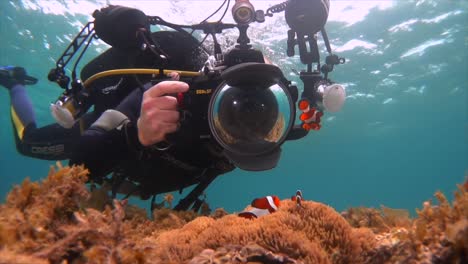 Underwater-photographer-taking-pictures-of-clownfish-on-shallow-coral-reef