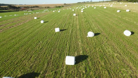 Agricultural-landscape-with-hay-bales-wrapped-in-plastic-white-foil,-drone-view