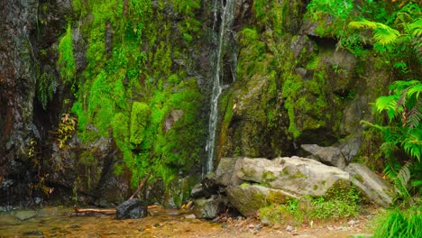 Nature-walks-in-rural-Auckland,-small-waterfall
