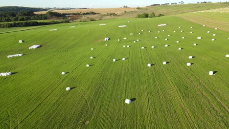 Hay-roll-silage-wrapped-in-the-field,-aerial-view