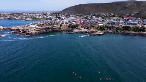 Drone-approach-tilt-up-over-kayakers-in-ocean---ecotourism-in-scenic-Hermanus