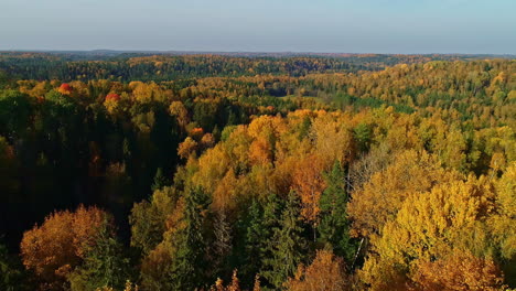 Aerial-pullback-above-dense-Forest-landscape,-lush-autumnal-Colors