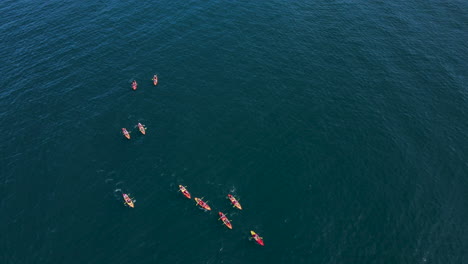 High-angle-aerial-view-over-kayakers-paddling-in-open-ocean,-marine-activity