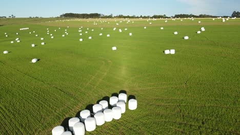 Haylage-roll-silage-wrapped-with-plastic-film-in-the-field,-aerial-view