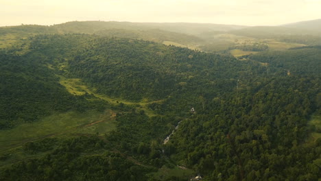 4k-aerial-view-of-the-Mau-Forest-in-the-Rift-Valley,-Kenya,-East-Africa