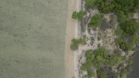 Aerial-Drone-Top-Down-Shot-of-Coral-Island-in-Sri-Lanka