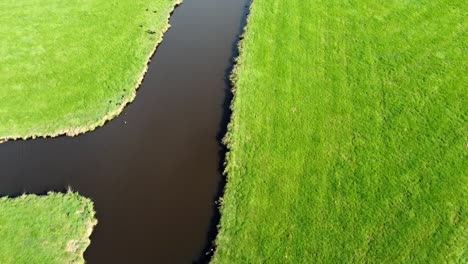 Aerial-drone-shot-of-creek-through-Dutch-field-of-grass-with-a-duck-landing-in-the-stream
