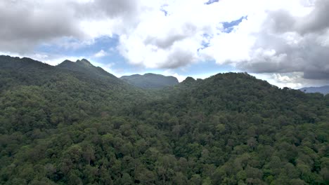 Jungle-canopy-in-Langkawi,-Malaysia,-drone-flyover-backwards