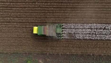 Cotton-picker-harvesting-a-field,-Top-down-aerial-view
