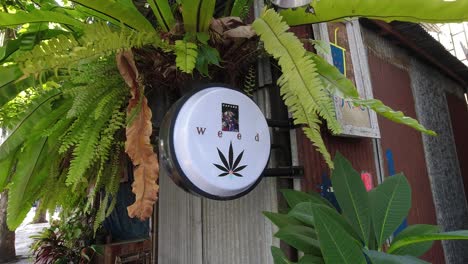 Letrero-De-Cannabis-En-Una-Tienda-En-Tailandia-Después-De-La-Legalización