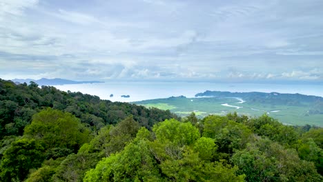 Volar-Sobre-La-Reserva-Natural-Gunungraya-Hacia-Los-Manglares-Del-Norte-En-Las-Islas-Langkawi,-Malasia