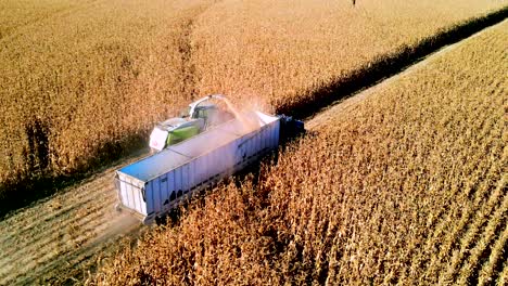 Folgen-Sie-Der-Antenne-Von-Landwirtschaftlichen-Fahrzeugen,-Die-Während-Der-Erntezeit-Mais-Sammeln