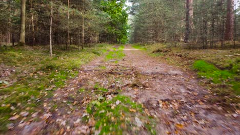 Flying-over-forest-path,-walking-point-of-view