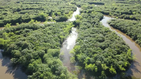 Vegetación-Ribereña-A-Orillas-Del-Río,-Vista-De-Drones