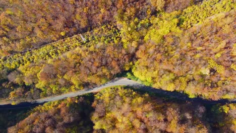 Aerial-view-of-curvy-road-in-autumn-forest