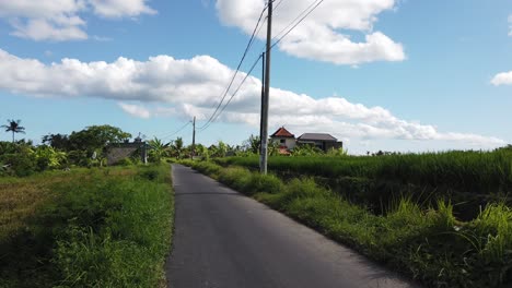 Schmale-Straße-Durch-Reisfelder-Bali-Indonesien-Gianyar,-Klare-Skyline-Schönes-Dorf-Südostasien-Straße