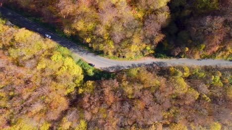 White-car-driving-on-colorful-autumn-forest-road