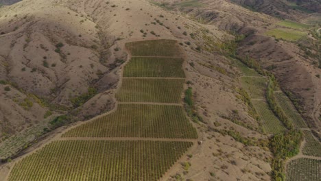 Flight-over-vineyards-in-the-mountains-002