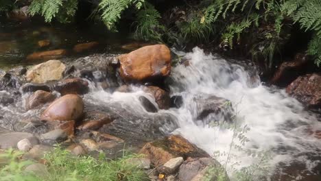River-stream-inside-forrest-slow-motion