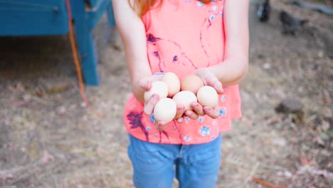 Collecting-eggs-from-backyard-chickens