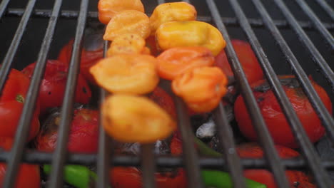 Close-up-Pan-with-Shallow-Depth-of-Field-of-Hot-Spicy-Serrano-Chilli-and-Habanero-Chilli-on-Grill-at-a-Meixcan-BBQ