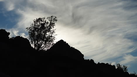 silhouette-of-tree-on-mountain-with-clouds