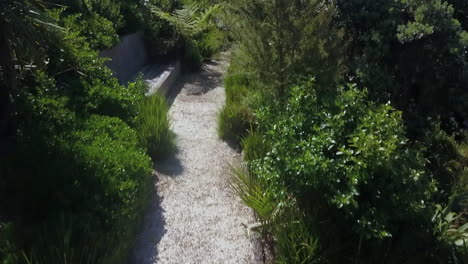 Walk-green-pathway-on-waiheke-island-New-Zealand