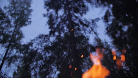 Dark-evening-fire-with-blue-sky-and-sparkles,-blurry-background-and-trees