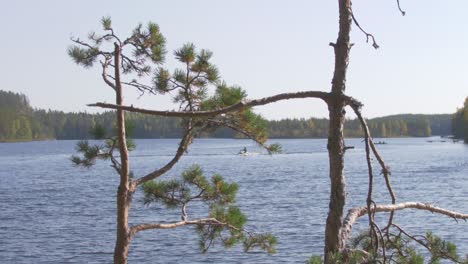 Man-on-a-aqua-bike-ridding-in-a-national-park-with-pine-tree-in-foreground