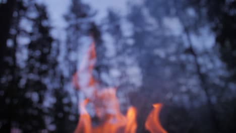 Dark-evening-fire-with-blue-sky-and-sparkles,-blurry-background-and-trees