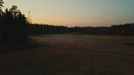 Launisches-Dunkles-Feld-Mit-Nebel-Und-Trockenen-Pflanzen-Und-Bäumen-In-Einem-Sonnenuntergang