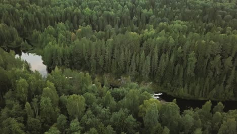 Aerial-footage-of-a-forest-from-height-of-a-drone,-Kivach-waterfall
