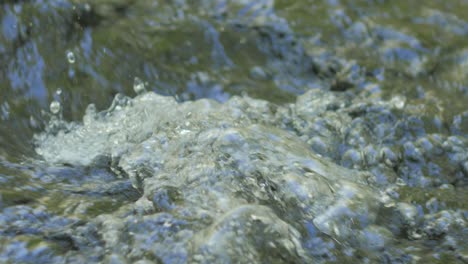 Forest-stream-running-close-up-on-water-waves