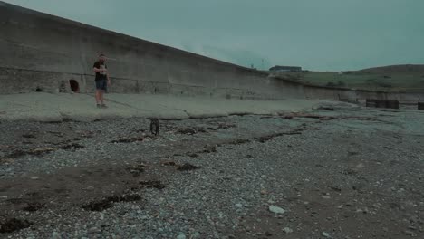 Zwei-Hunde-Spielen-An-Einem-Englischen-Strand
