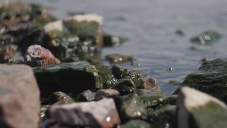Rocks-in-a-sea-water-in-a-blurry-background-and-slow-motion-with-beautiful-bokeh