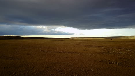 Dröhnen-Von-Straussen-In-Der-Wüste-In-Patagonien