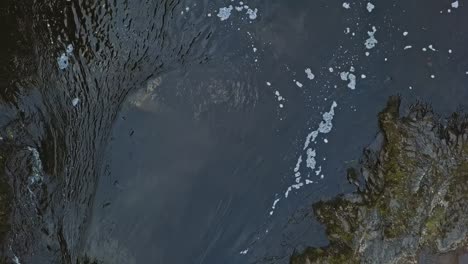 Aerial-footage-of-a-Karelian-waterfall-Kivach,-full-water-flow-over-the-top,-beautiful-nature,-foam-on-water