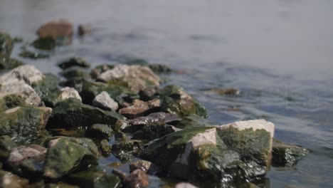 Rocks-in-a-sea-water-in-a-blurry-background-and-slow-motion-with-beautiful-bokeh