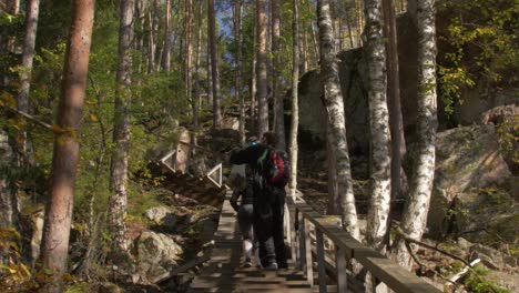 People-walking-up-the-stairs-in-a-rocky-forest-trail