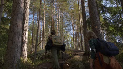 People-walking-up-the-forest-trail-in-slow-motion