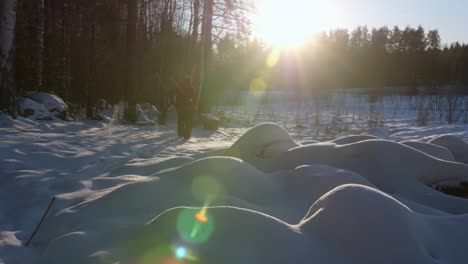 Sendero-Forestal-De-Invierno-Con-Un-Hombre-Finlandés-Esquiando-Con-Un-Perro-En-Un-Clima-Pecaminoso