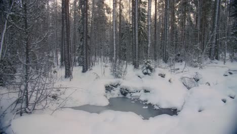 Winter-forest-with-a-small-pond-full-of-snow-and-ice