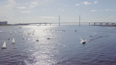 Yachts-sailing-in-a-city-bay-next-to-a-bridge-and-summer-sun,-white-ripples-on-a-water