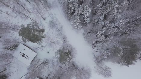 Aerial-of-a-frozen-winter-trees-in-Finland-with-mist
